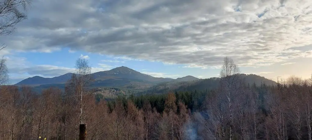 a view of a forest with a mountain in the background at Faichemard Farm Chalets in Invergarry