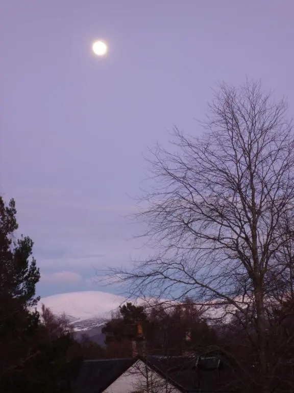 a moon in the sky with a tree in the foreground at Camusmore House in Aviemore