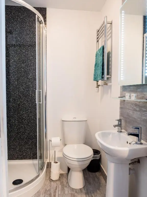 a bathroom with a toilet and a sink and a shower at The Birches in Dingwall