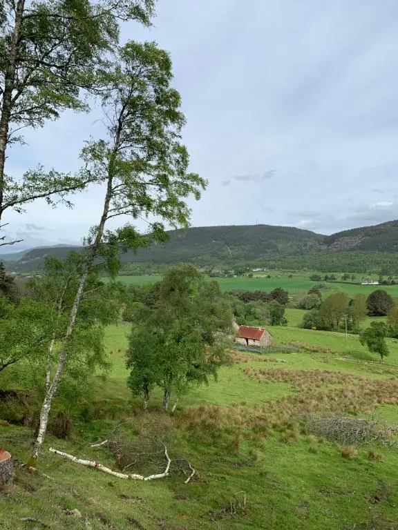 a field with trees and a house in the distance at The Auld Kirk in Ballater