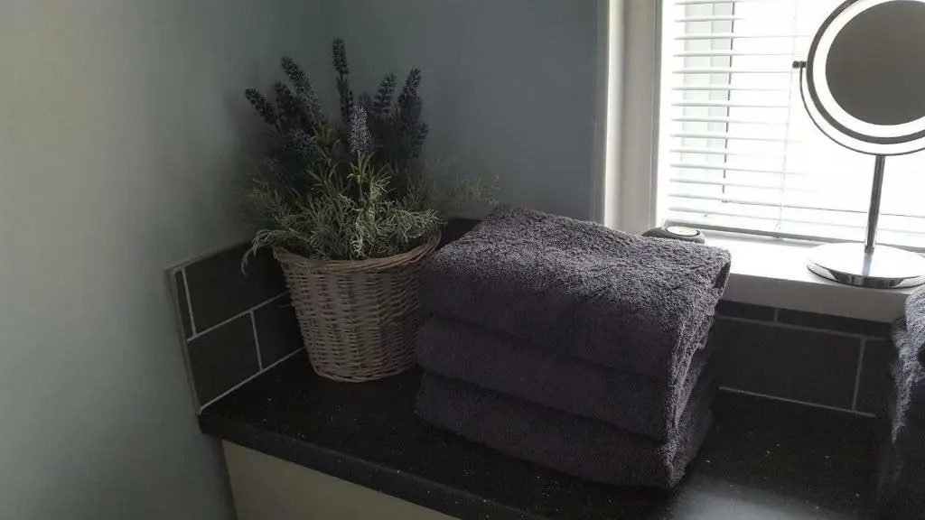 a bathroom with a chair and a mirror and a plant at Mary's Apartment in Rothes