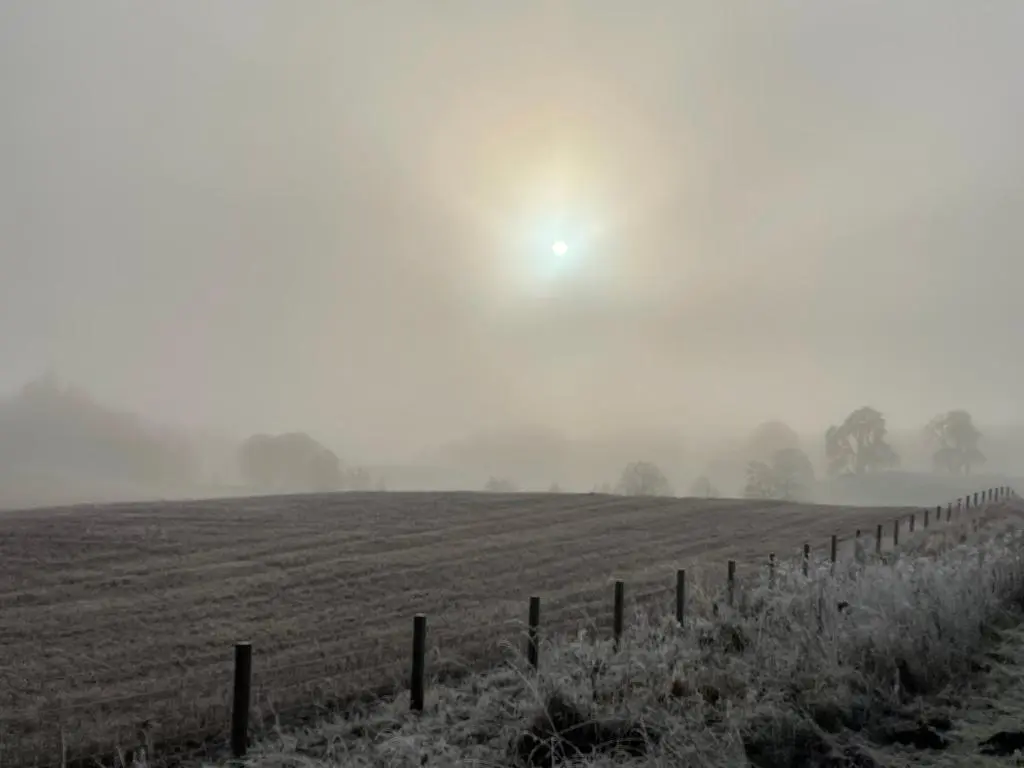 a black and white photo of a fence in a field at Coppice Cottage in Grantown on Spey