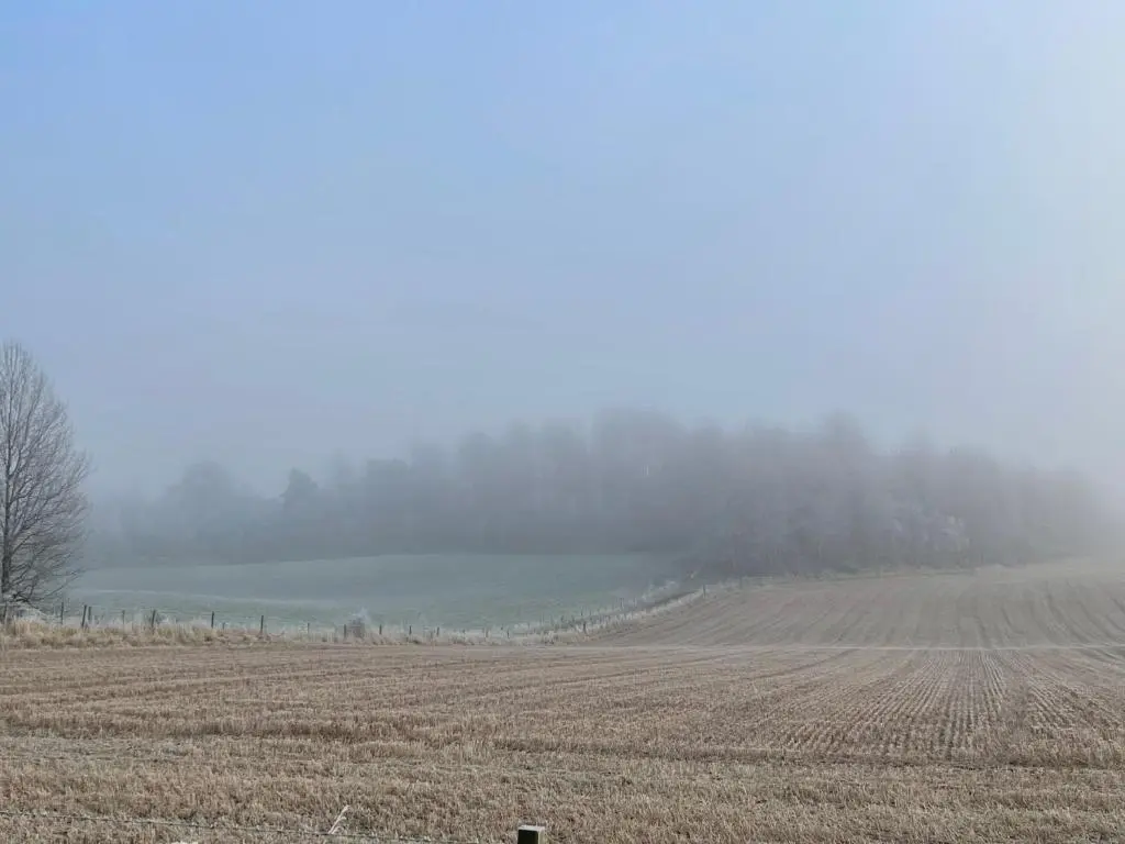 a field on a foggy day with a field of crops at Coppice Cottage in Grantown on Spey
