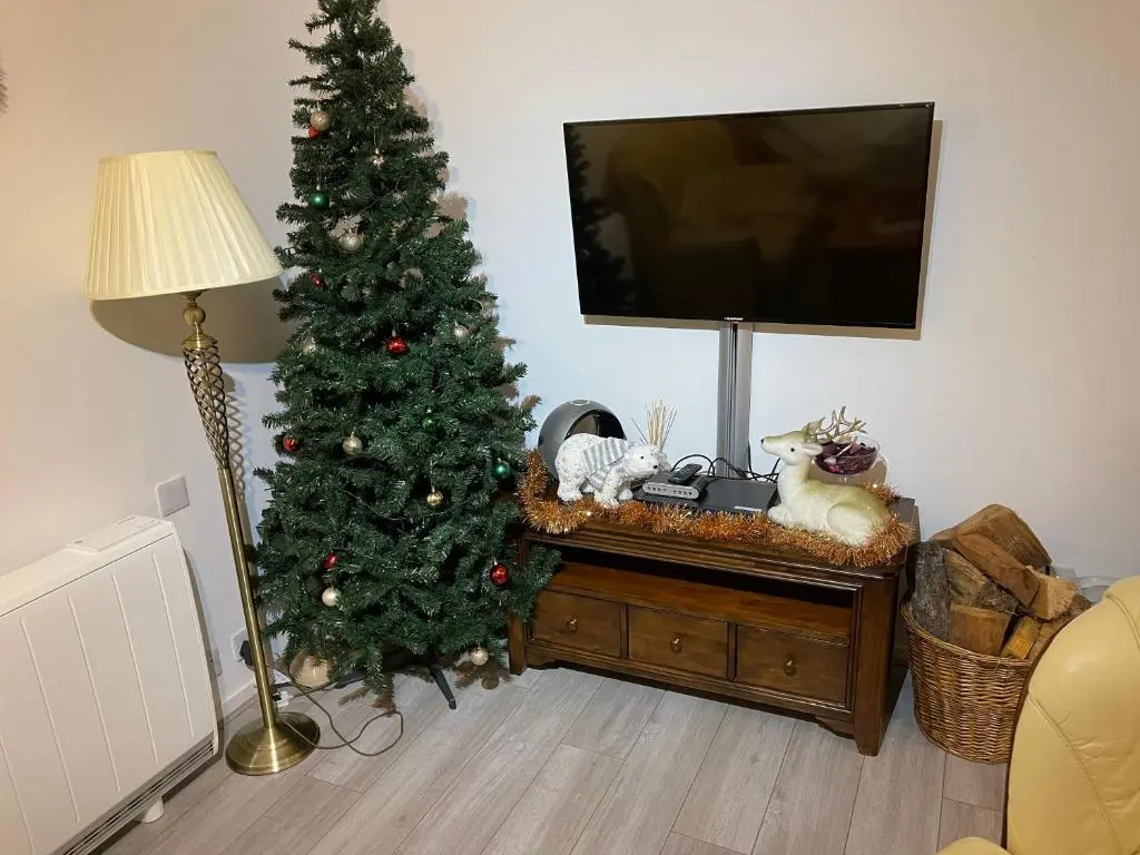 a christmas tree sitting on a table next to a tv at Coppice Cottage in Grantown on Spey