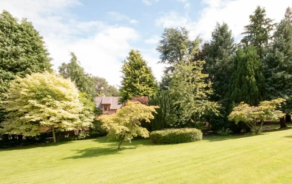 a yard with trees and a house in the background at Firlands Lodge in Forres