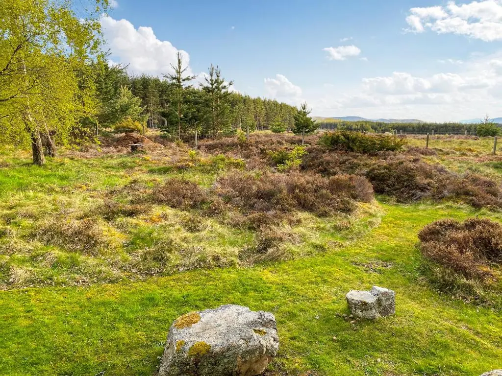 a field with rocks in the grass and trees at Kintulloch in Insh
