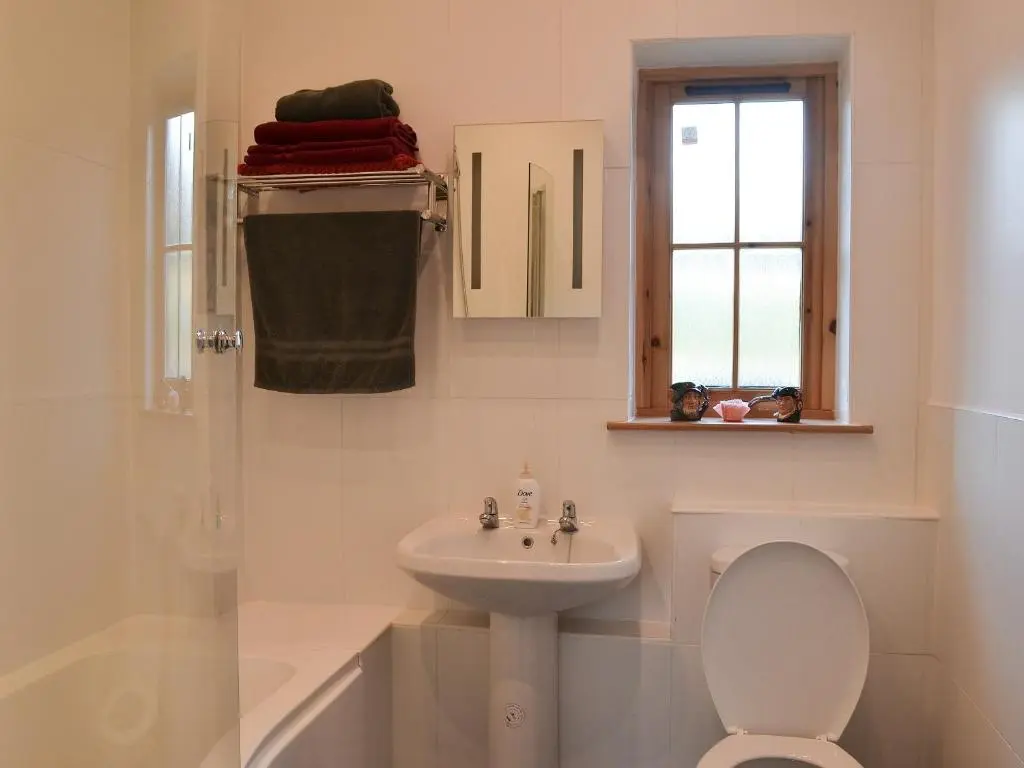 a bathroom with a sink and a toilet and a window at Turin Nurin Cottage in Tomatin