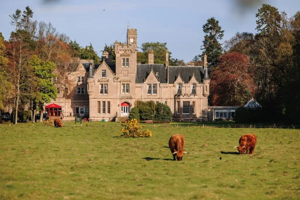a group of cows grazing in a field in front of a castle at Muthu Newton Hotel (Near Inverness Airport) in Nairn