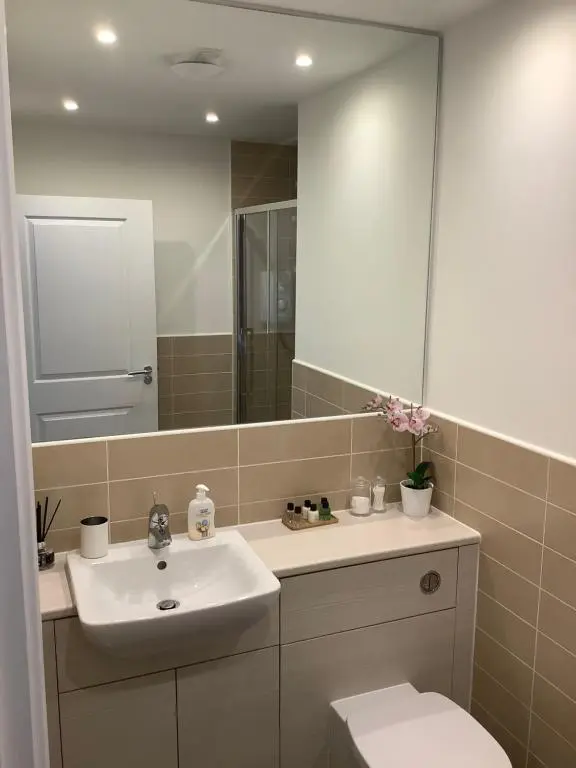 a bathroom with a sink and a mirror at Hedgefield House Flat 34 in Inverness