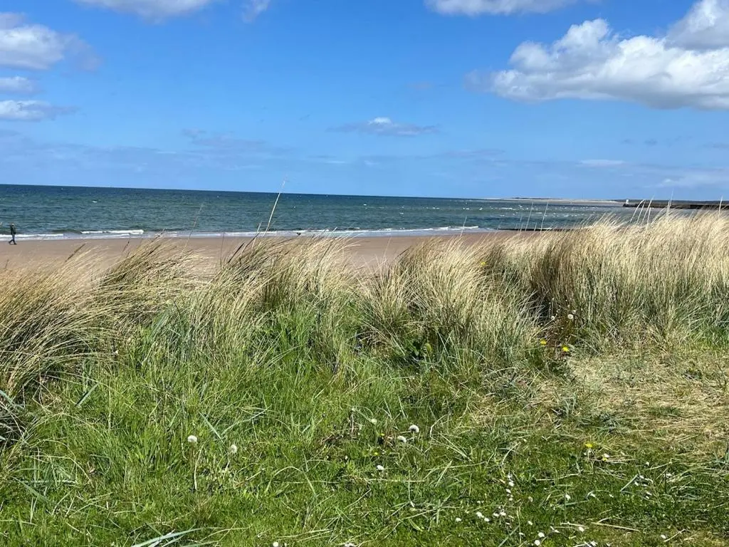 a beach with tall grass and the ocean in the background at Sunny Brae Bed & Breakfast in Nairn