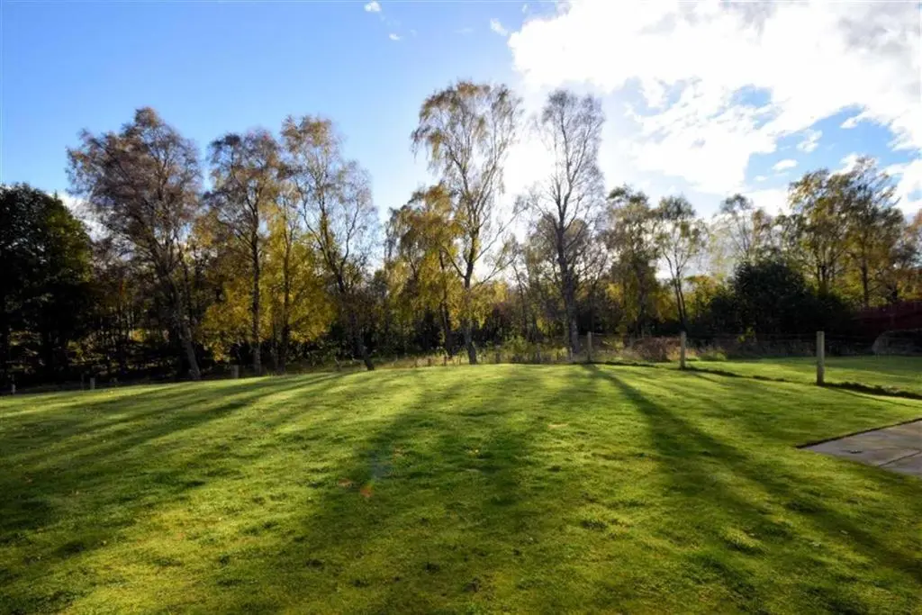 a large grass field with trees in the background at Woodlands in Aviemore