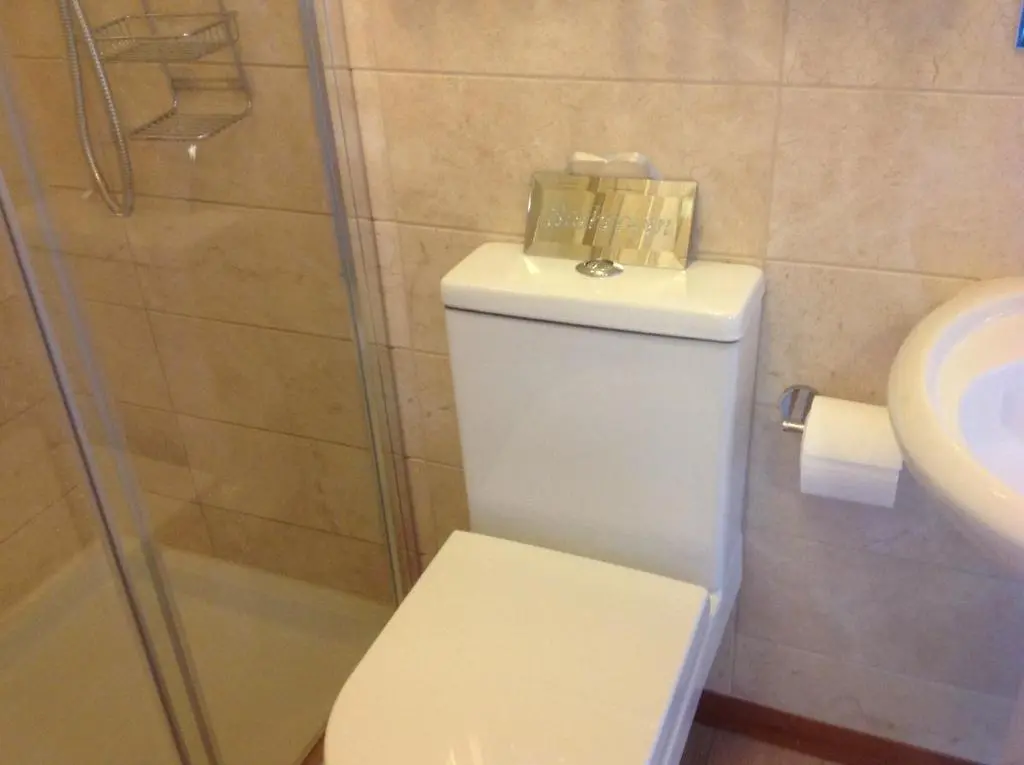 a bathroom with a white toilet and a shower at Royston Guest House Inverness in Inverness