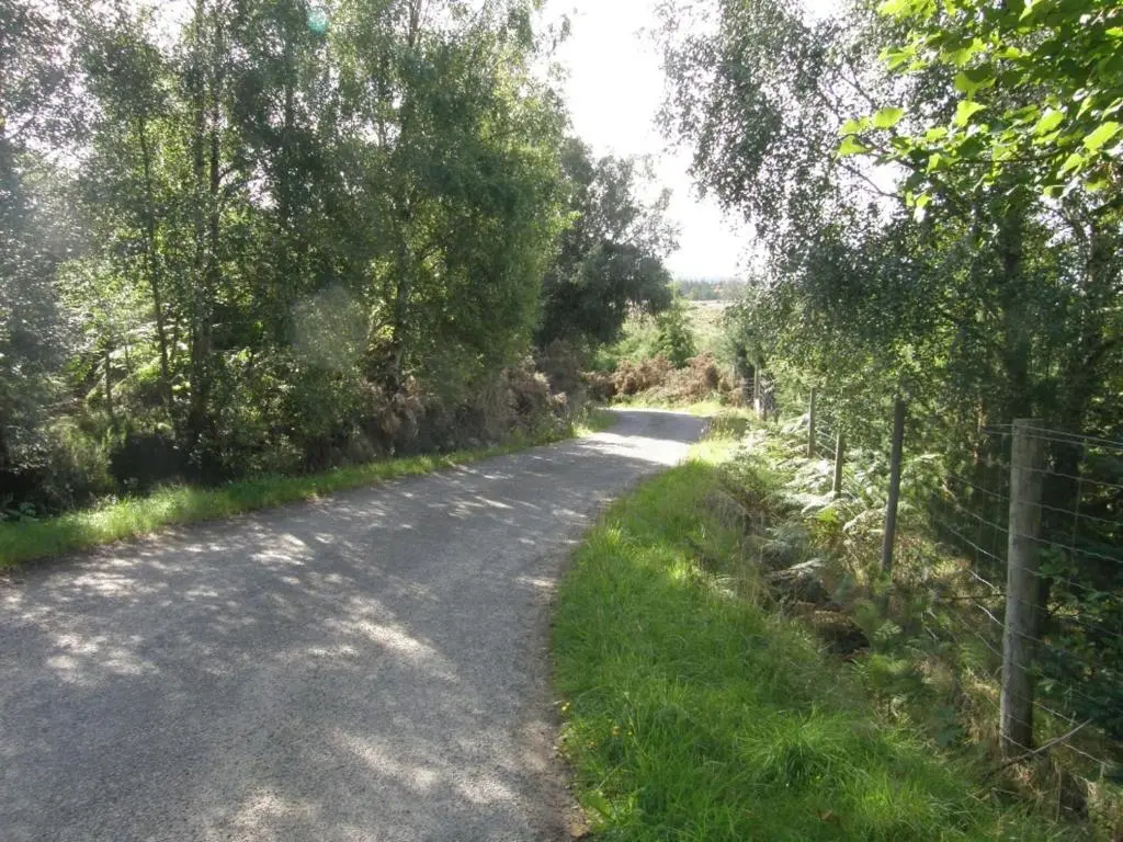 a road with trees and a fence on the side at Sunrise House in Inverfarigaig