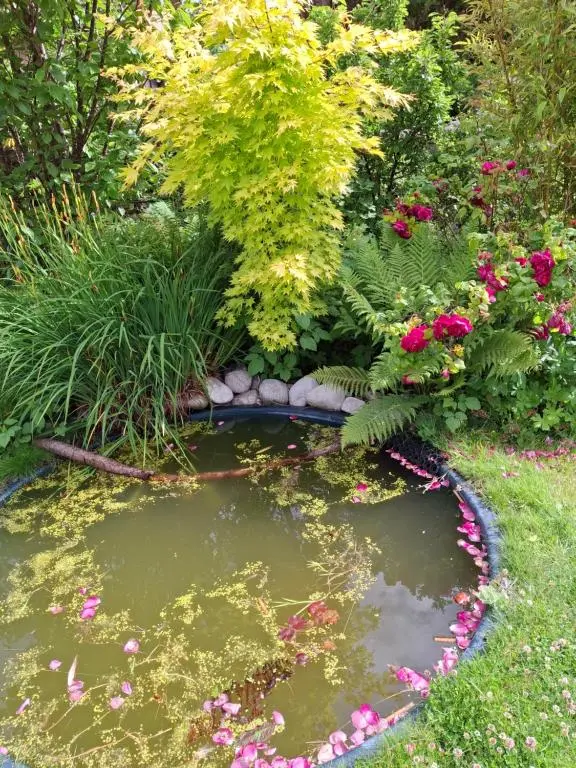 a garden with a pond with flowers and plants at Aberlour Cottages - Bolthole & Retreat in Aberlour