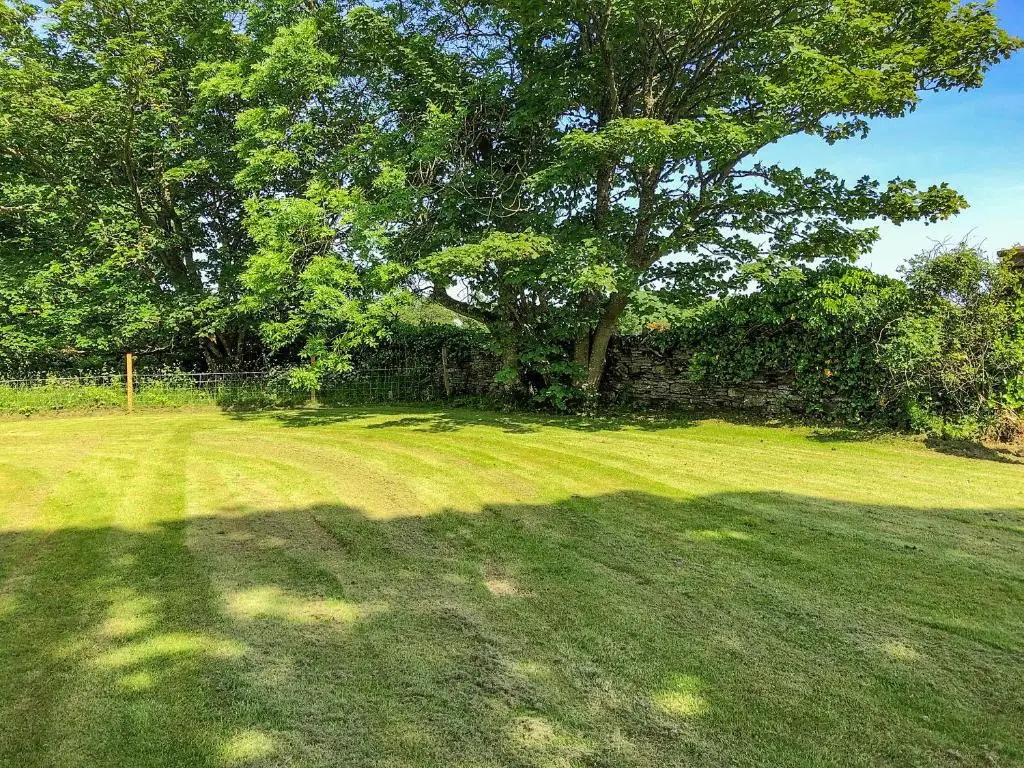 a large field with a tree and a fence at The Gate Lodge in Latheron