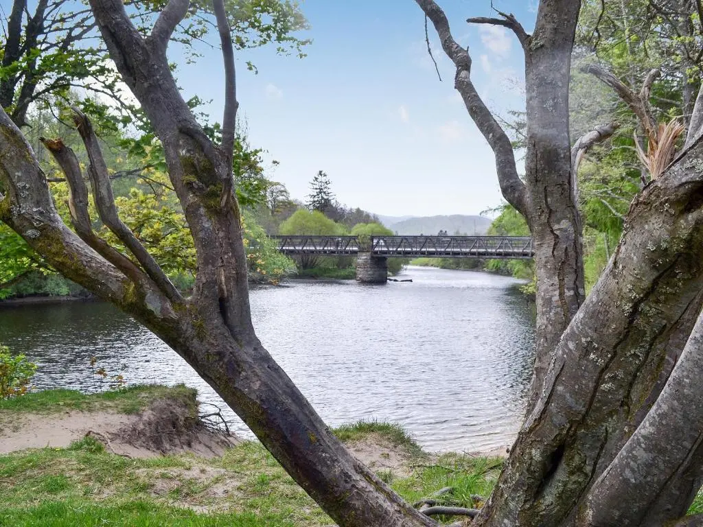 a bridge over a river with a tree at The Pines in Aviemore