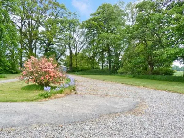 a gravel road with a bush with a pink flower at Easter Urray Farmhouse in Muir of Ord