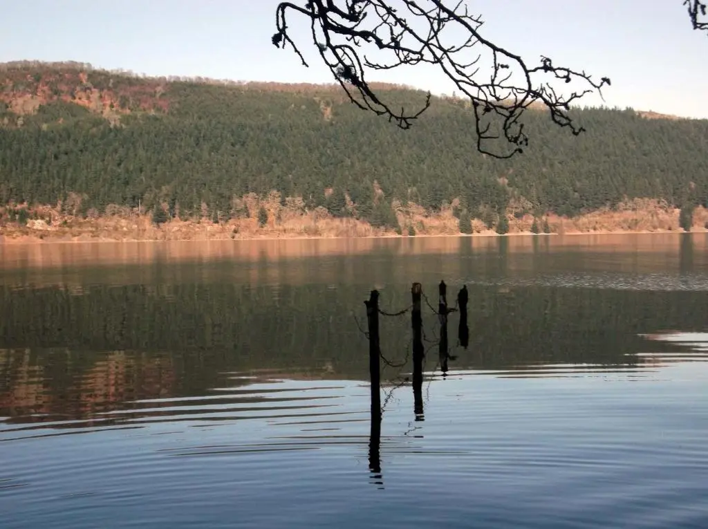 a view of a lake with two posts in the water at Foyers Roost in Foyers
