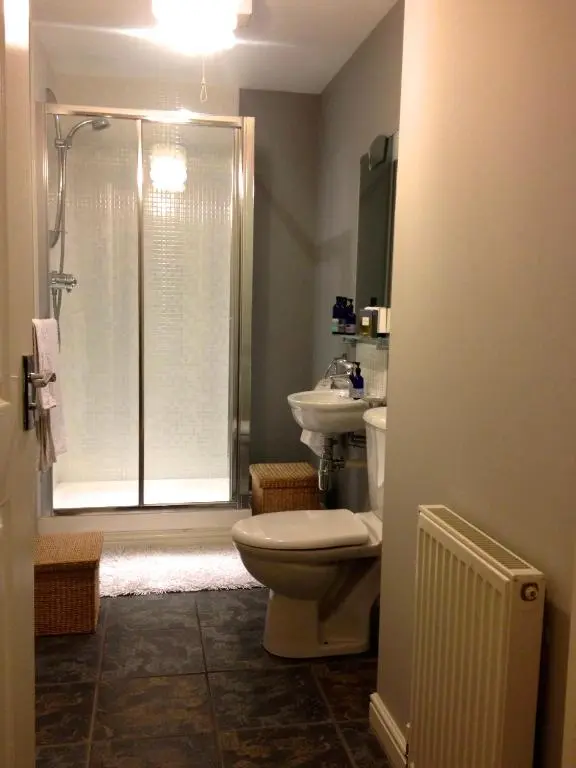 a bathroom with a shower and a toilet and a sink at Hector's House in Aviemore