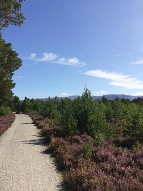 a dirt road with trees and flowers on it at Cragganmore Lodge in Aviemore