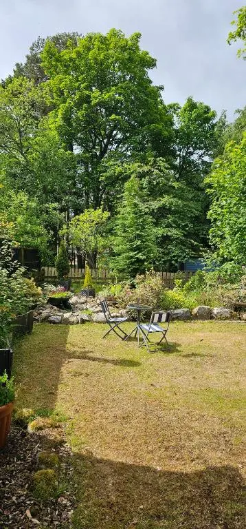 a picnic table in the middle of a yard at Eagle View Guest House in Newtonmore