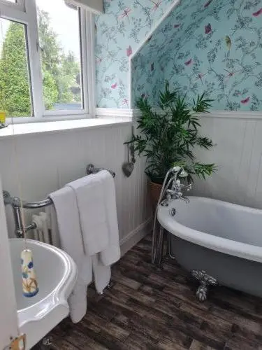 a bathroom with a bath tub and a plant at Eagle View Guest House in Newtonmore