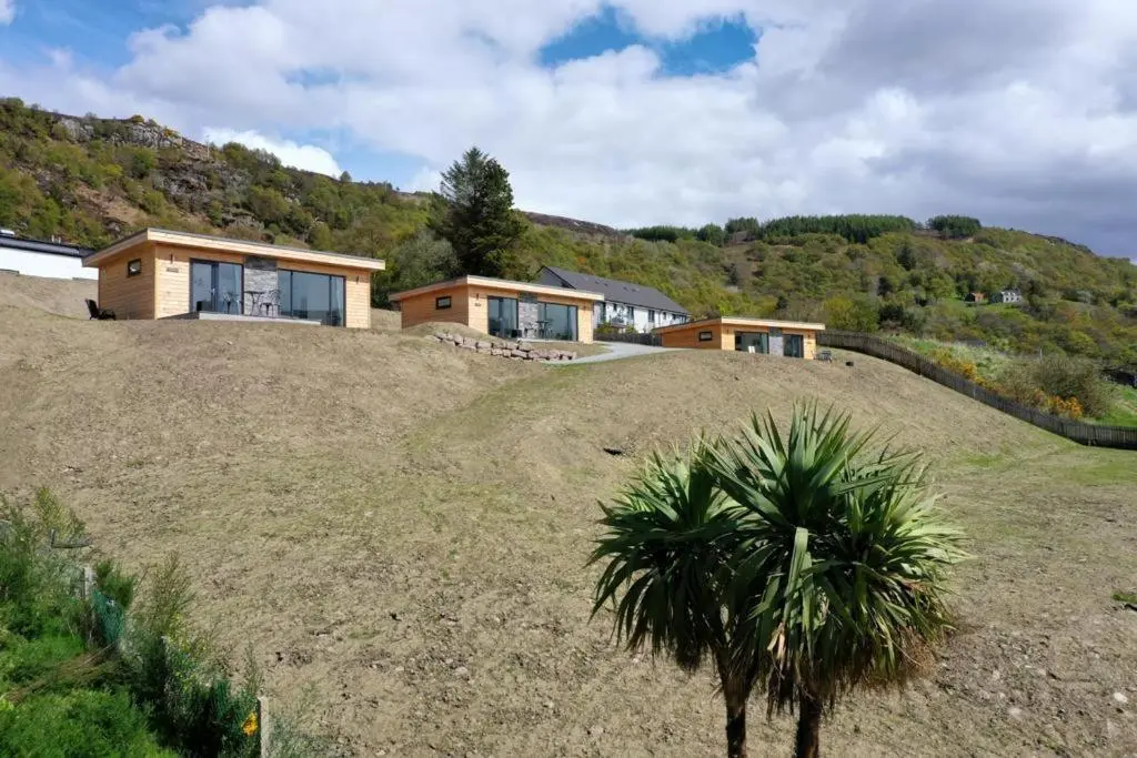 a house on top of a hill with a palm tree at Harbour House in Ullapool
