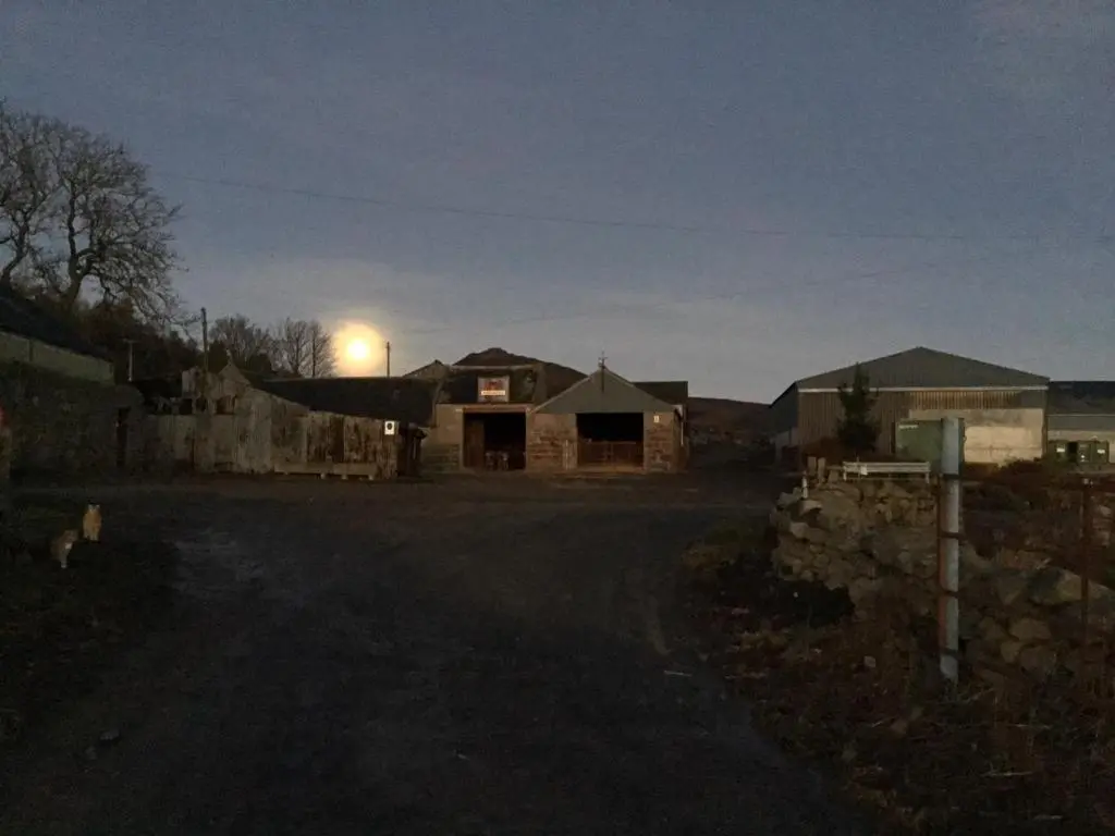 a house with a light on top of it at night at Broadsea in Inverurie