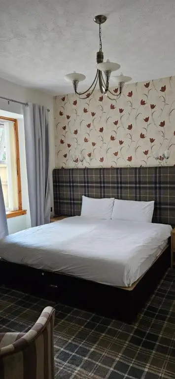 a bed in a bedroom with a wall with birds on it at Armadale Guest House in Inverness