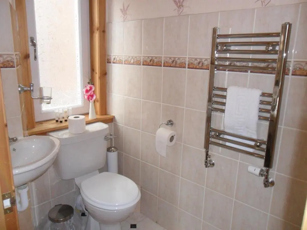 a bathroom with a toilet and a sink at Armadale Guest House in Inverness