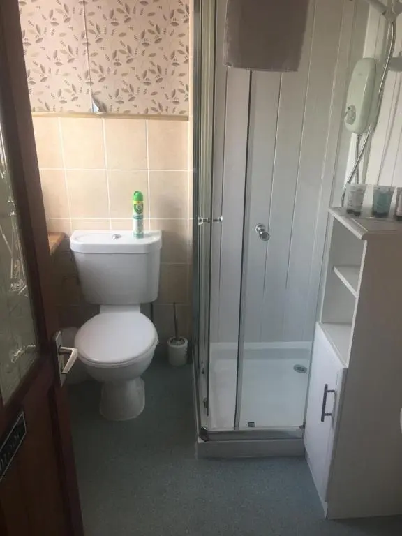 a small bathroom with a toilet and a shower at Ivanhoe Guest House in Inverness