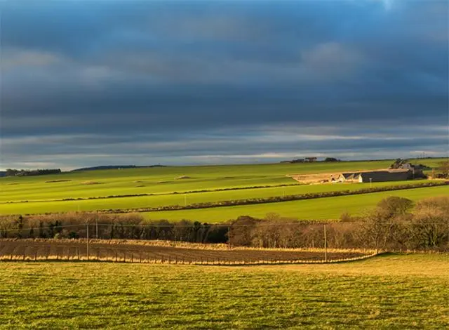 a green field with a fence in the middle of it at 85 Seatown in Cullen