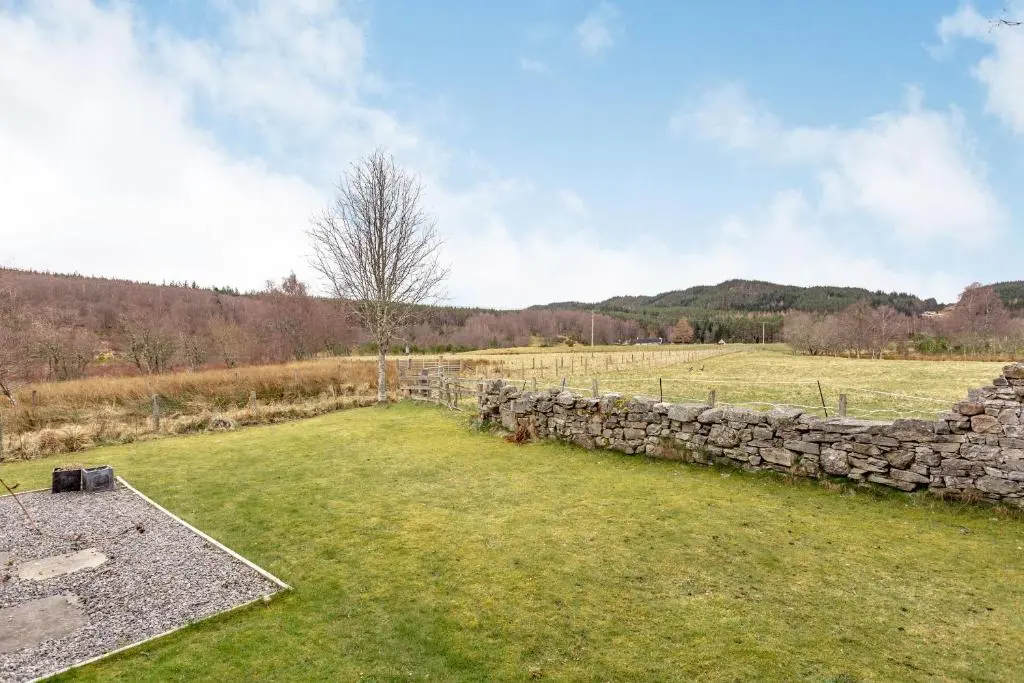 a stone wall next to a field with a tree at Inshcraig in Kincraig