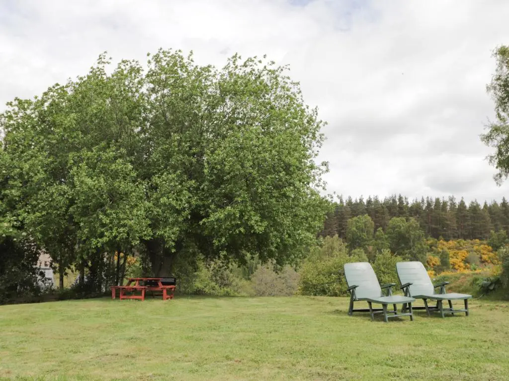 two chairs and a table in a field with a tree at Blairgorm Croft in Nethy Bridge