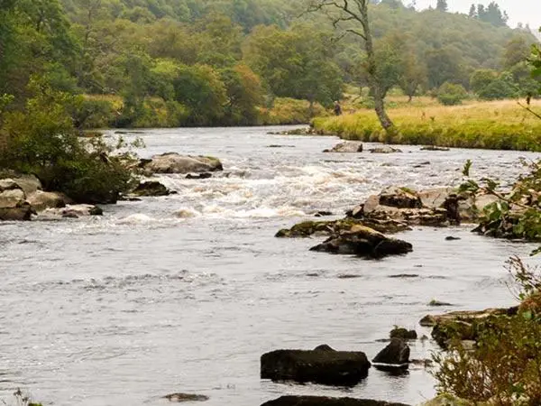 a river with rocks in the middle of it at The Auld Kirk in Forsinain