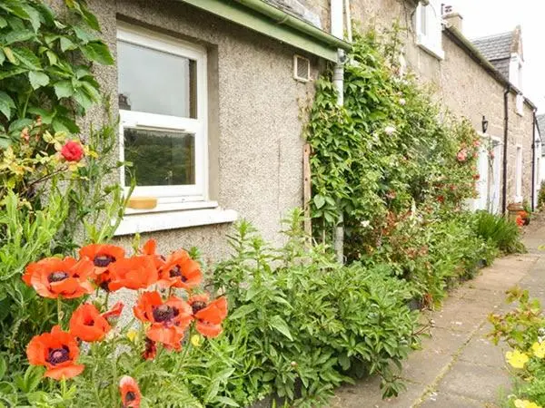 a garden with red flowers in front of a house at Coorie Doon in Nairn