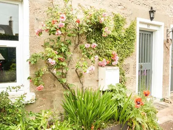 a building with flowers on the side of it at Coorie Doon in Nairn