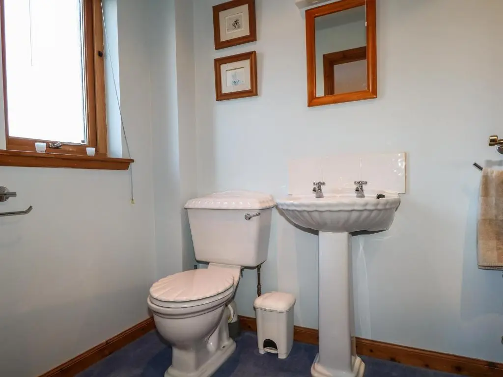 a bathroom with a toilet and a sink at Corriemhor Beag in Cromdale