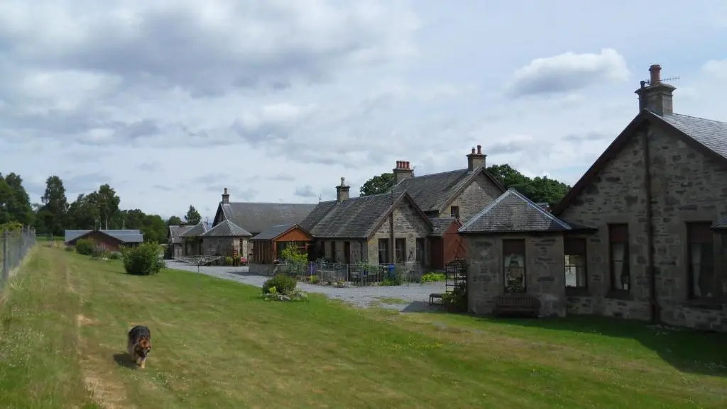 a dog standing in a yard in front of a house at Meadowside Cottages in Balavil