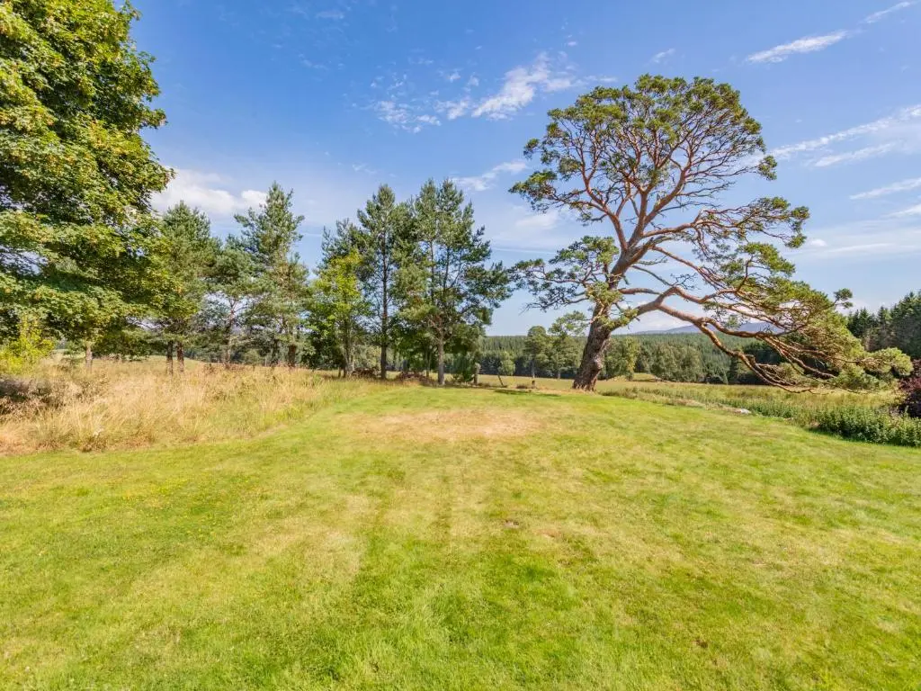 a grassy field with a tree in the middle at The Old Laundry in Grantown on Spey