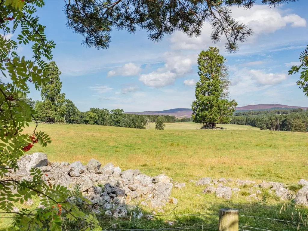 a field with a tree and a fence at The Old Laundry in Grantown on Spey