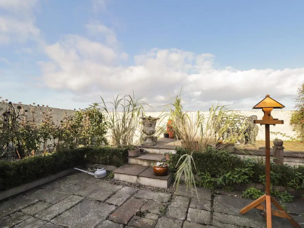 a garden with a path with plants and a cat at Seaview in Nairn
