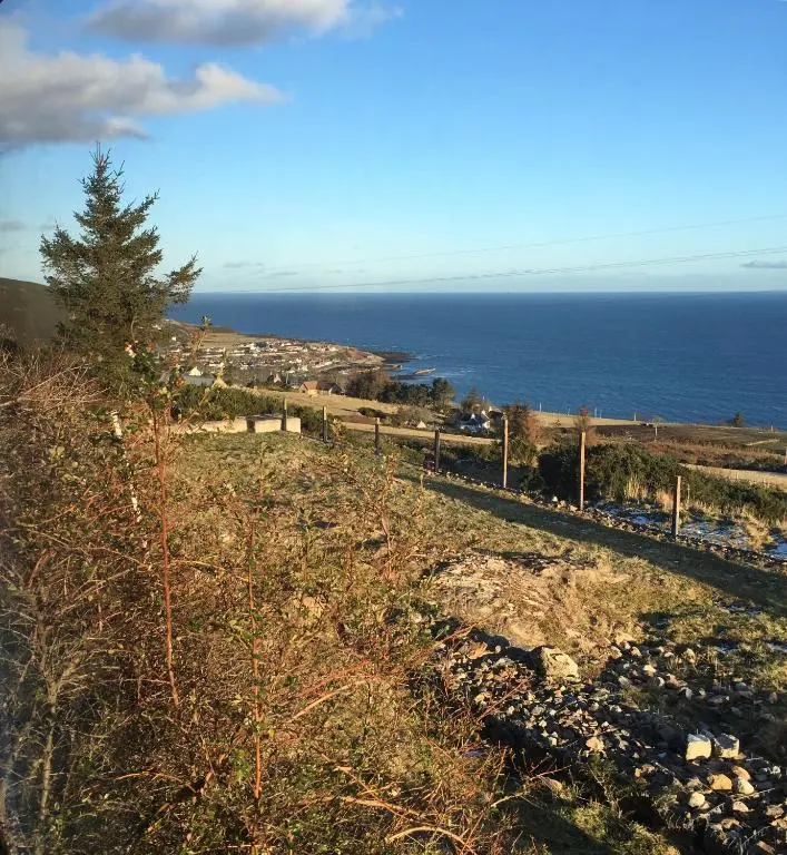 a view of the ocean from a hill with a tree at The Stroops in Helmsdale