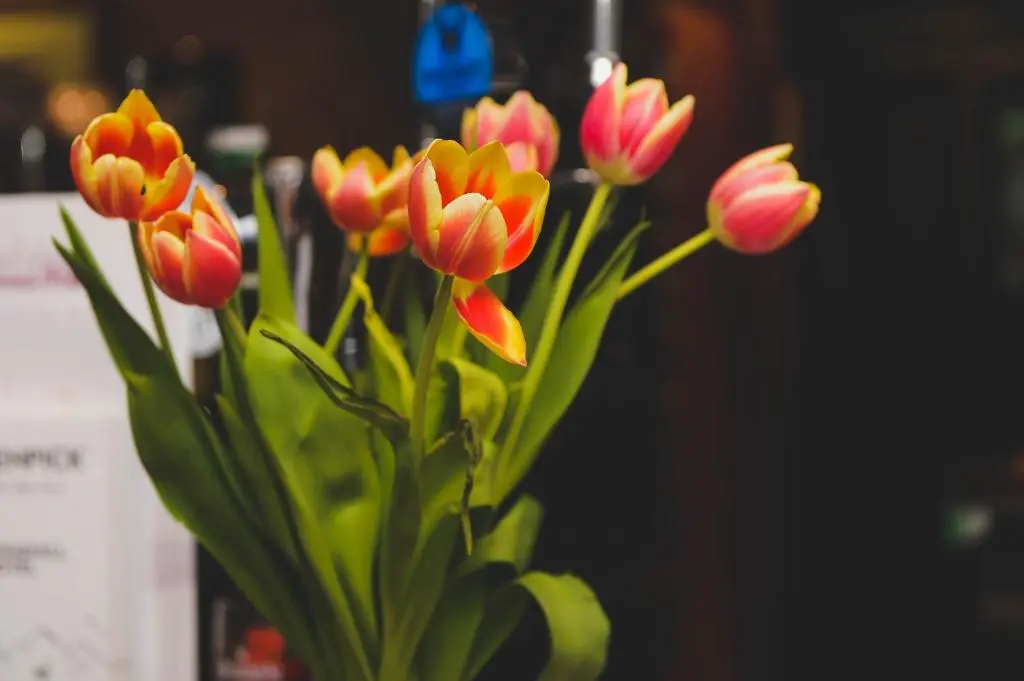 a bunch of orange and pink flowers in a vase at Sunninghill Hotel in Elgin