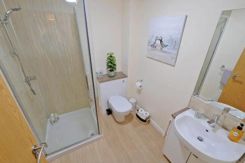 a bathroom with a shower and a toilet and a sink at Caledonia Netherhills Apartment in Aberdeen