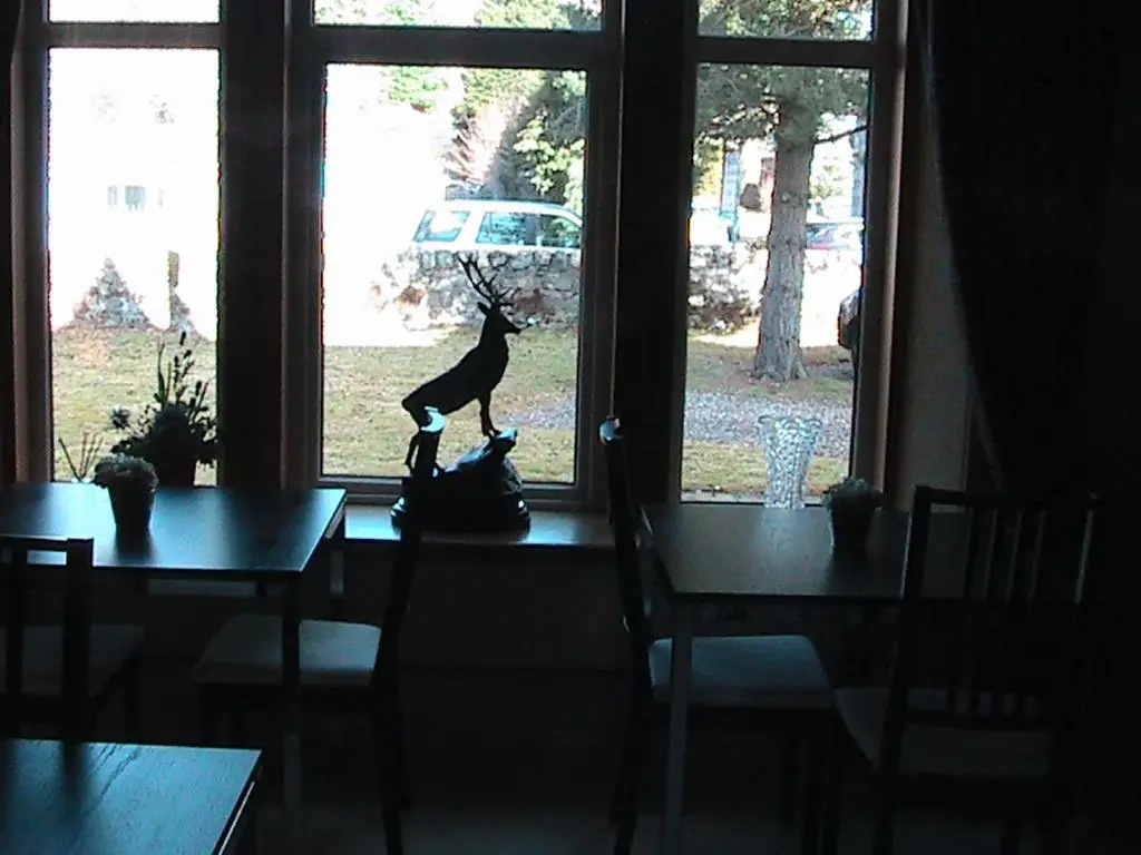 a cat statue sitting on a table looking out a window at Avondale House in Kingussie
