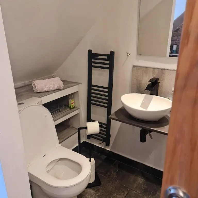 a bathroom with a toilet and a sink at Ness City Cottage in Inverness