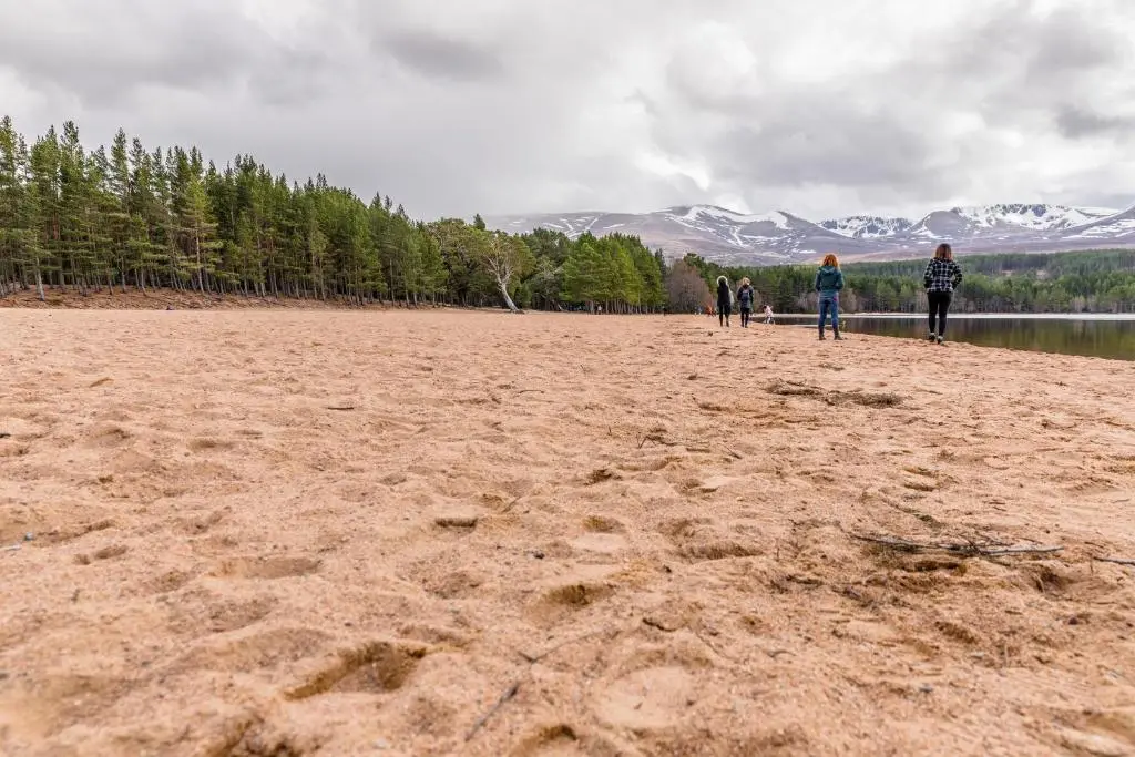 a group of people walking on a sandy beach at Macdonald Woodland Lodges at Macdonald Aviemore Resort in Aviemore