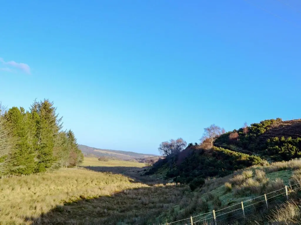 a view of a vineyard on a hillside at Lower Brae in Achnahanat