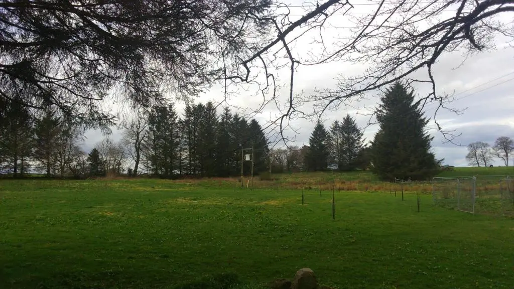 a field of green grass with trees in the background at Disblair House in Newmachar